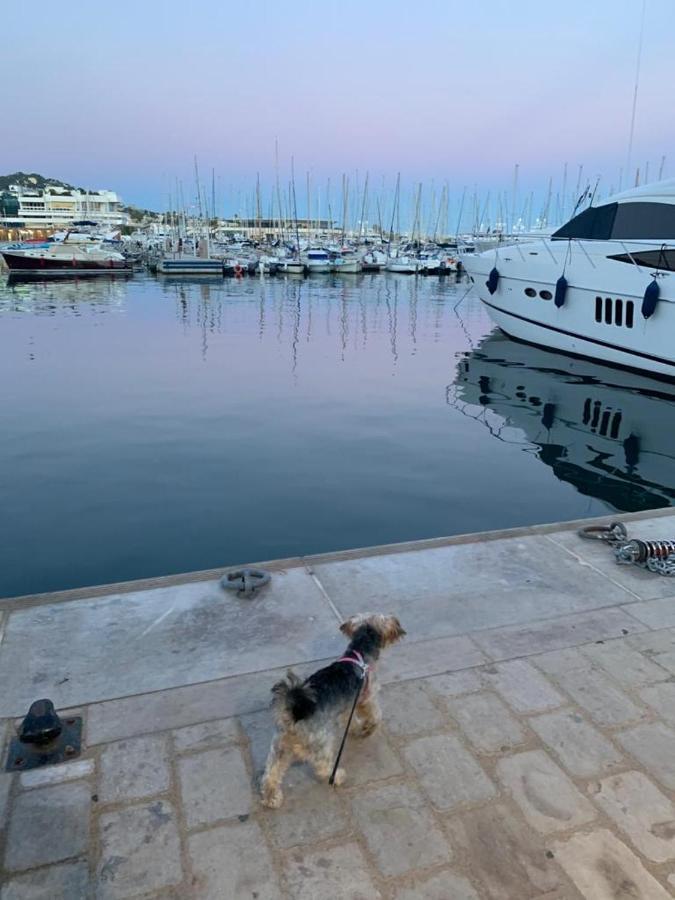 Cannes Old Port, Seafront & Seaview, Yacht Show Port Zewnętrze zdjęcie